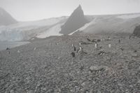 
DSC00206